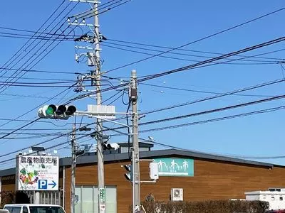わいわい市 藤沢店