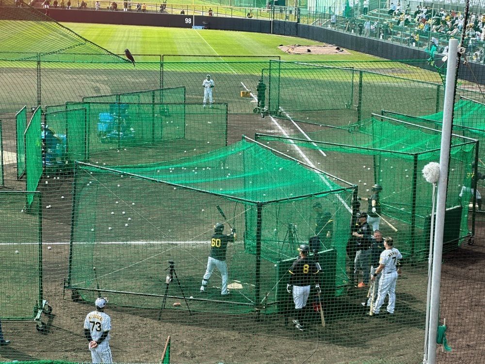 kumakentoraさんが投稿した宜野座ドームに関する口コミの画像