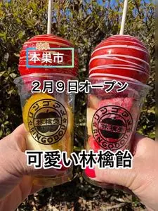 JAPANどんぶり イオンタウン本巣店