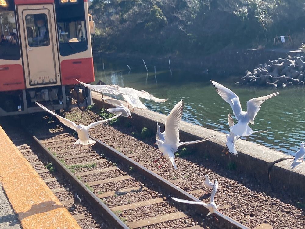 Howl Monさんが投稿した浜名湖佐久米駅に関する口コミの画像