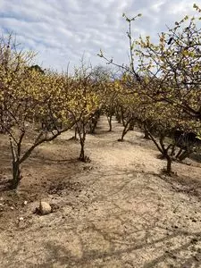 種松山公園西園地