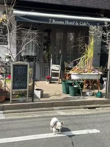 7 Rooms Hotel & Cafe（セブンルームス ホテル&カフェ）