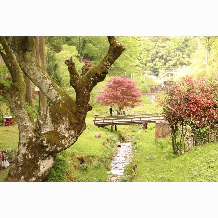 よたさんが投稿した質志鐘乳洞公園に関する口コミの画像