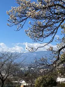 円光院