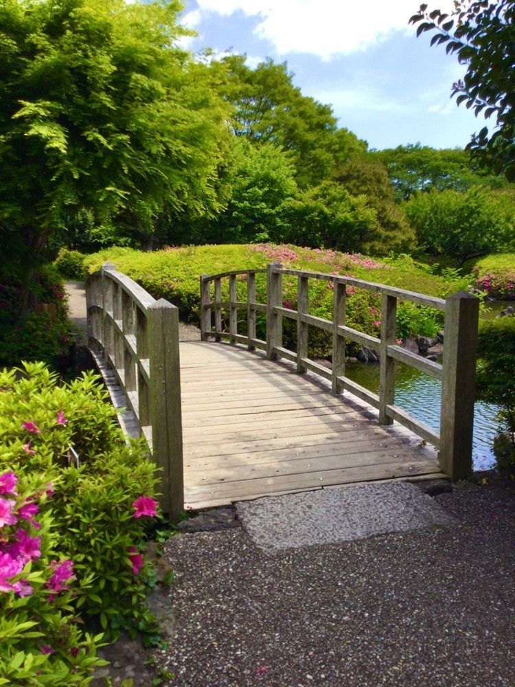 vast_cafeteria_2621さんが投稿した城北公園に関する口コミの画像