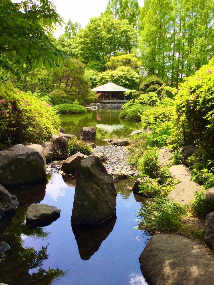 vast_cafeteria_2621さんが投稿した城北公園に関する口コミの画像
