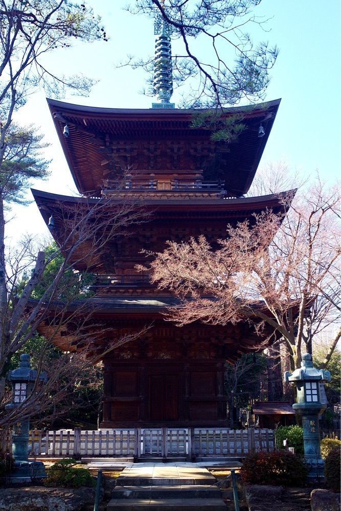 junkunさんが投稿したまねき屋に関する口コミの画像