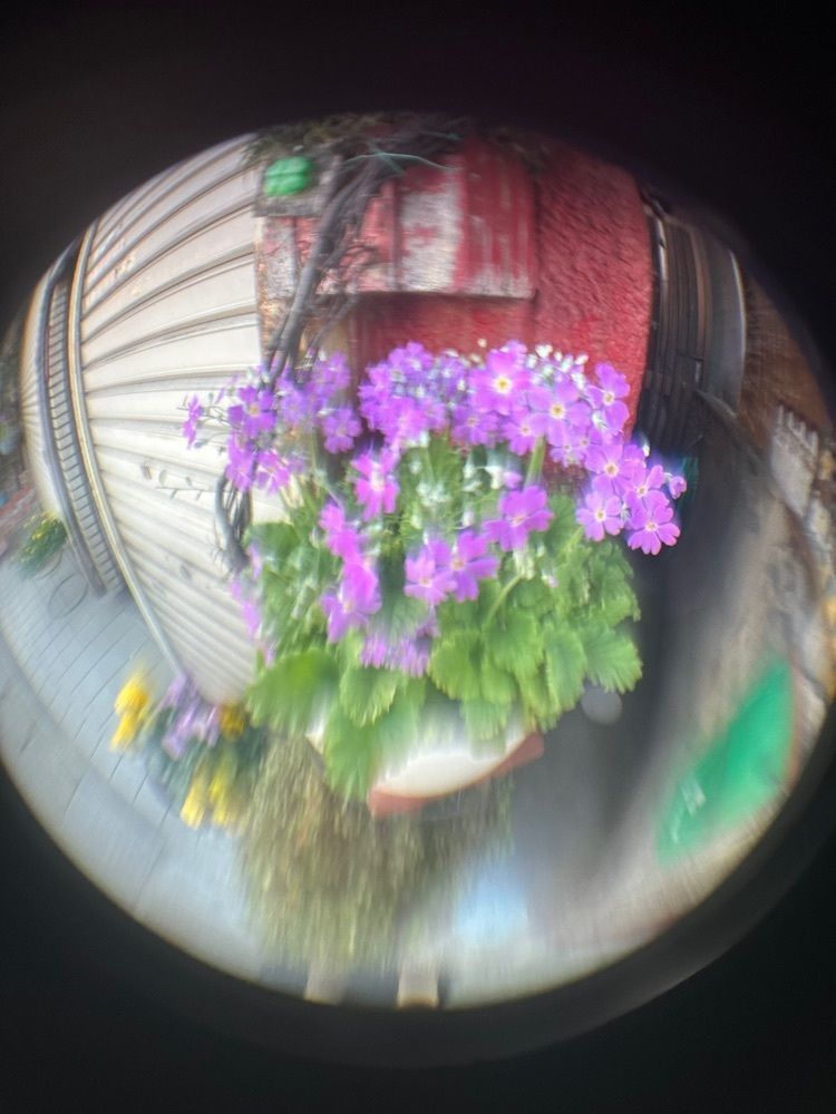 blossom&C7さんが投稿したなんば一番 たこすけに関する口コミの画像