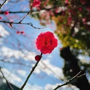 高槻城跡公園