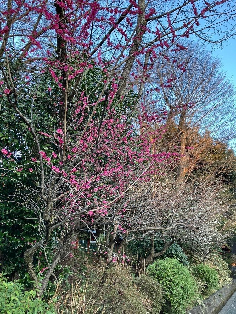 Nさんが投稿した湧玉池に関する口コミの画像
