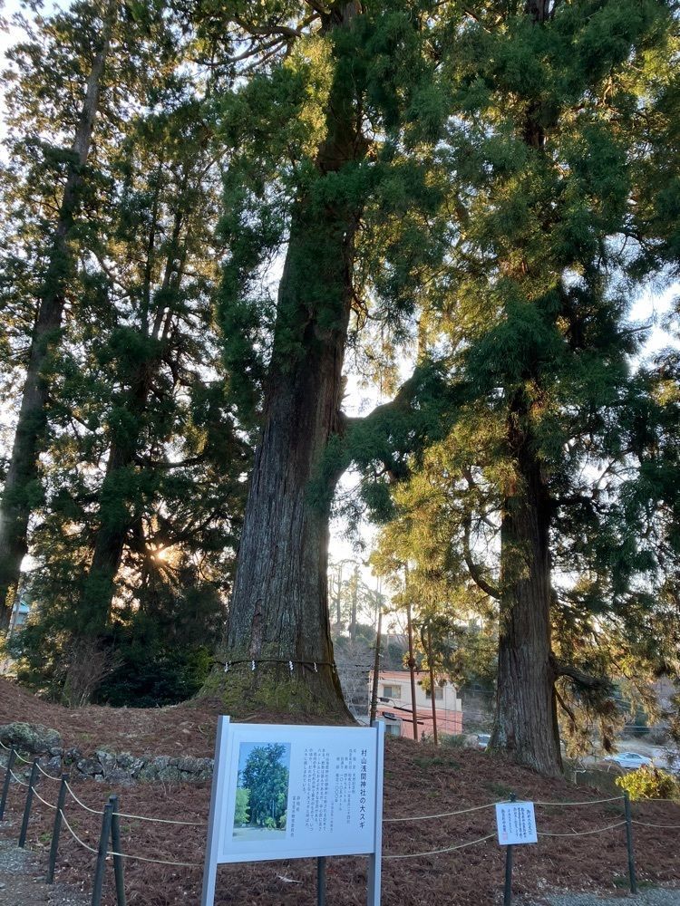 Nさんが投稿した村山浅間神社の大スギに関する口コミの画像