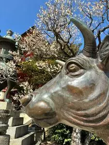 防府天満宮