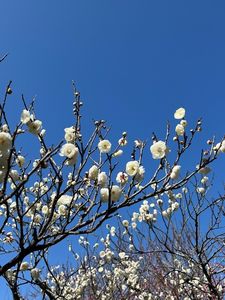 山田池公園 7枚目