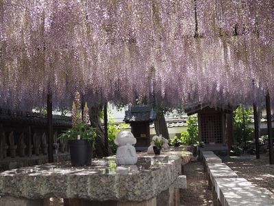 田原市民俗資料館 2枚目