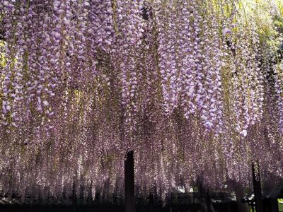 田原市民俗資料館 3枚目