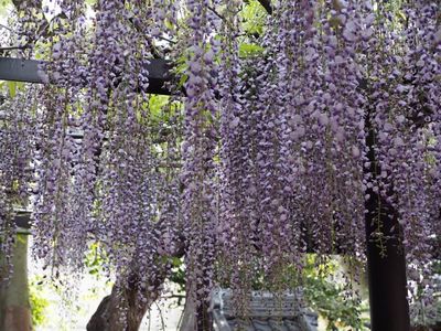 田原市民俗資料館 5枚目