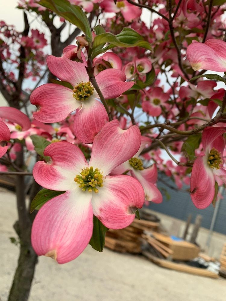 blossom&C7さんが投稿した宇治天然温泉 源氏の湯に関する口コミの画像