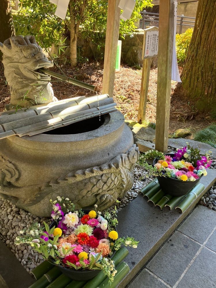 Nさんが投稿した須山浅間神社に関する口コミの画像