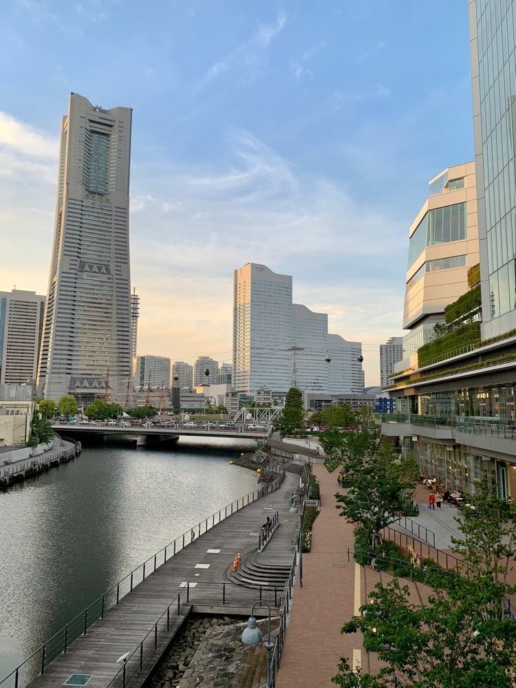 merryさんが投稿したスターバックスコーヒー 横浜市役所 ラクシス フロント店（STARBUCKS COFFEE）に関する口コミの画像