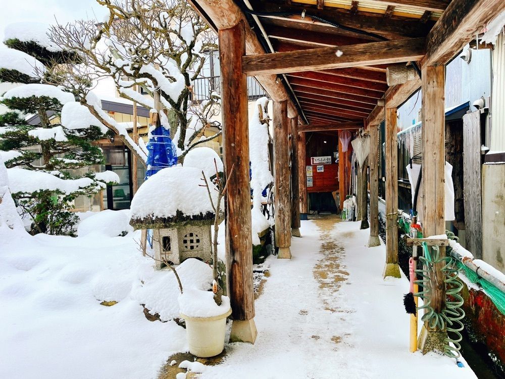 猫なぎ。さんが投稿した西郷屋に関する口コミの画像