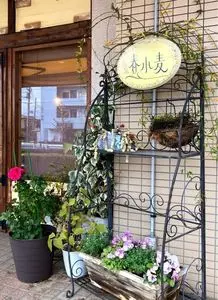 春小麦