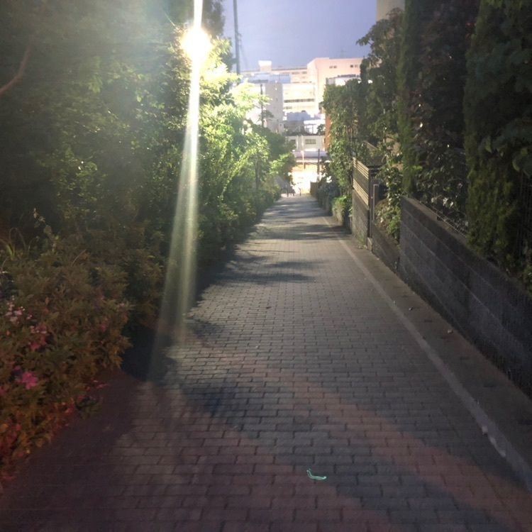 タッキーさんが投稿した柿生の里散歩道に関する口コミの画像