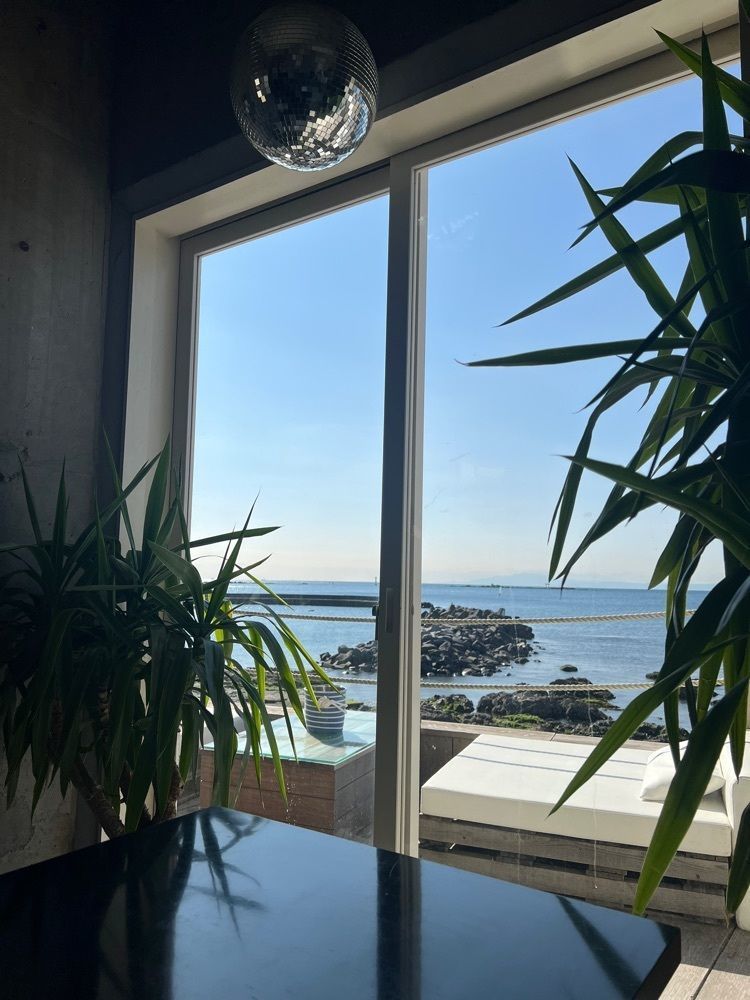 __whtri98さんが投稿したアンダー ザ パルモ ハヤマ（UNDER THE PALMO HAYAMA）に関する口コミの画像