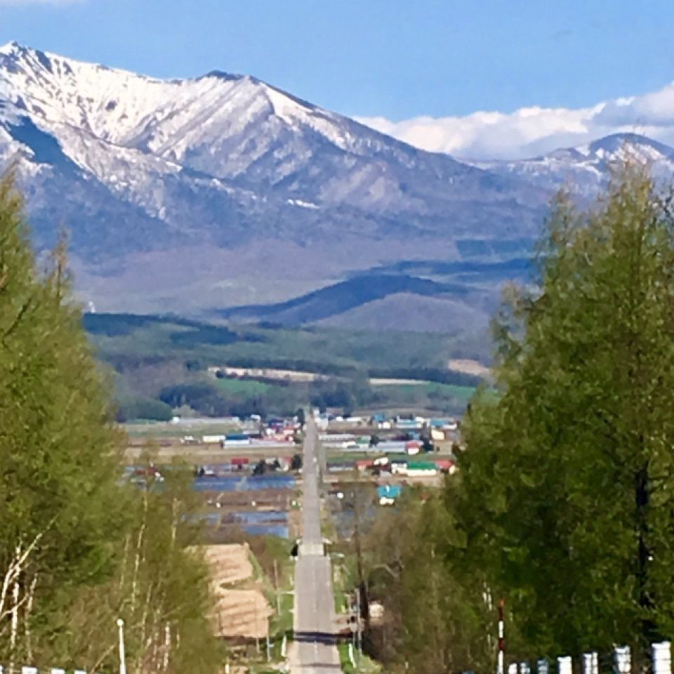yoshiさんが投稿したかみふらの八景 パノラマロード江花に関する口コミの画像