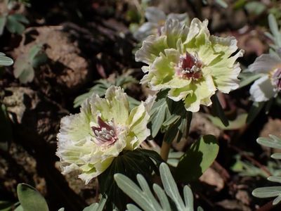 レスト ゆーゆー 1枚目