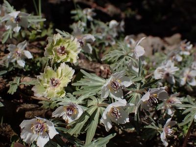 レスト ゆーゆー 2枚目