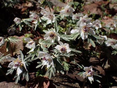 レスト ゆーゆー 3枚目