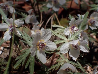 レスト ゆーゆー 4枚目