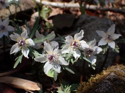 レスト ゆーゆー 5枚目