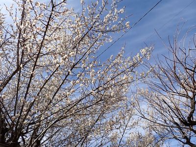 レスト ゆーゆー 6枚目