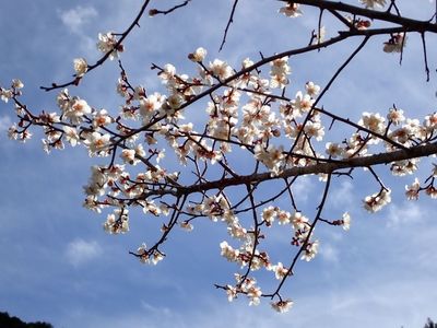 レスト ゆーゆー 7枚目