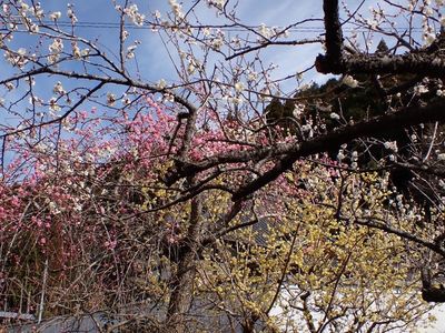 レスト ゆーゆー 8枚目