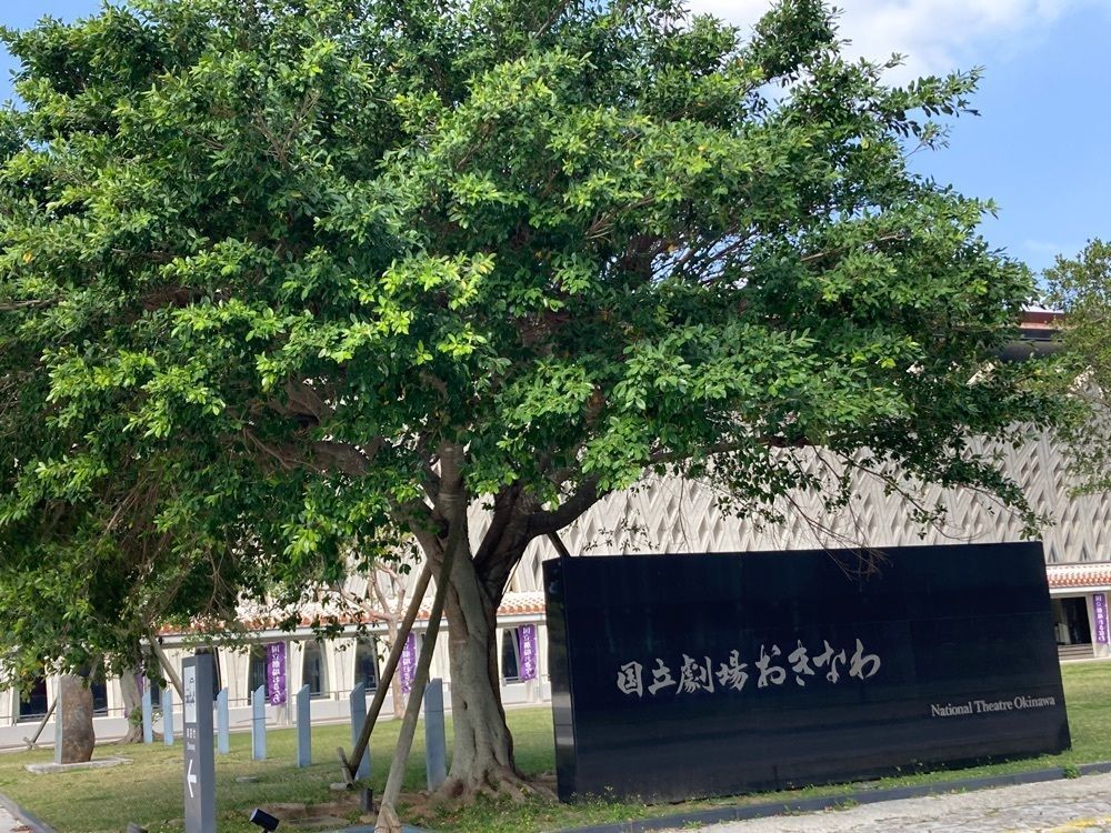 ゴンさんが投稿した国立劇場おきなわに関する口コミの画像