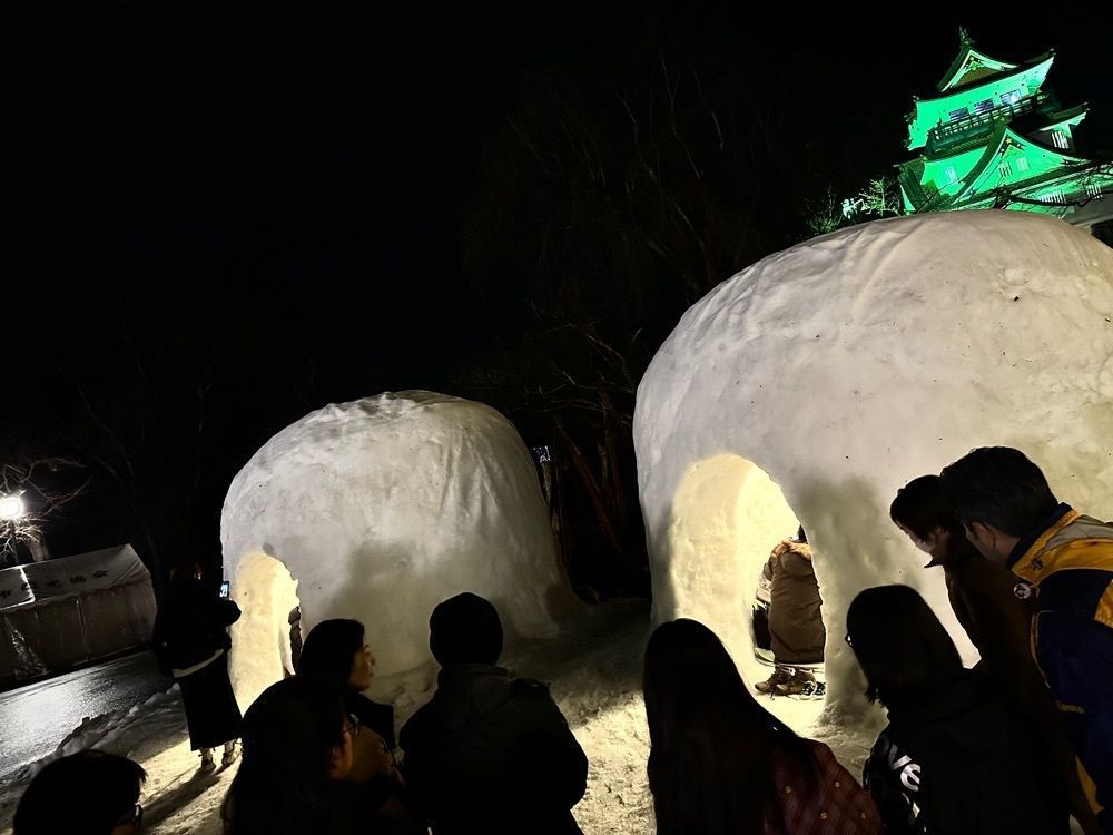 みゆきさんが投稿した横手公園展望台に関する口コミの画像