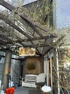 太養パン店 本店