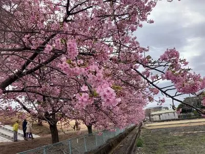 セブンイレブン 静岡美和