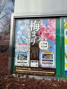 府中市郷土の森博物館の梅園