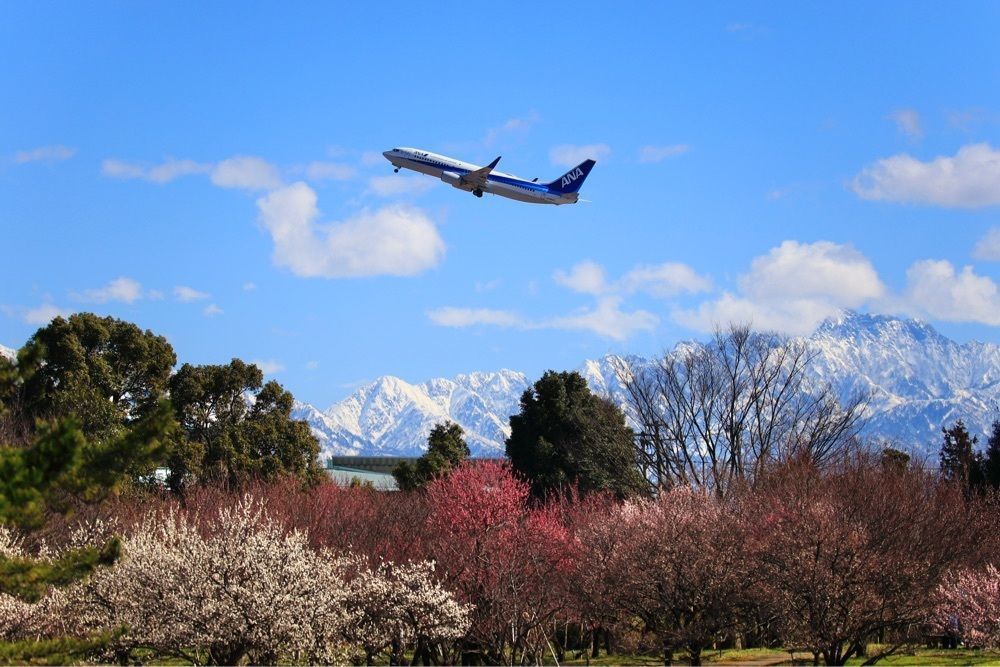 taka_wildflowerさんが投稿した富山県中央植物園に関する口コミの画像