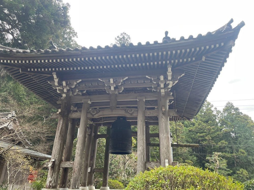 hirokororinさんが投稿した洞慶院の梅園に関する口コミの画像