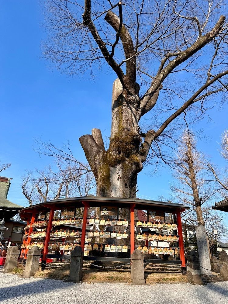 からっ風②さんが投稿した上野総社神社に関する口コミの画像