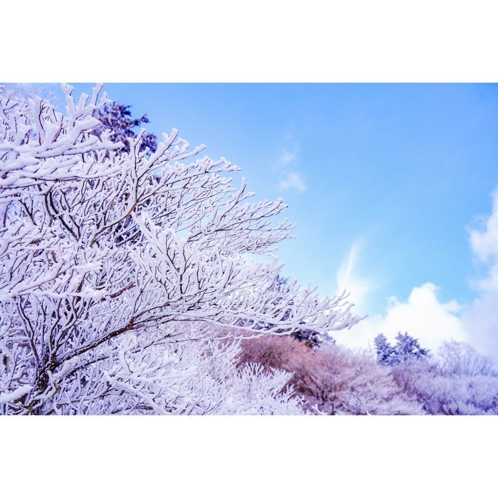 urban_garden_243aさんが投稿した三峰山に関する口コミの画像