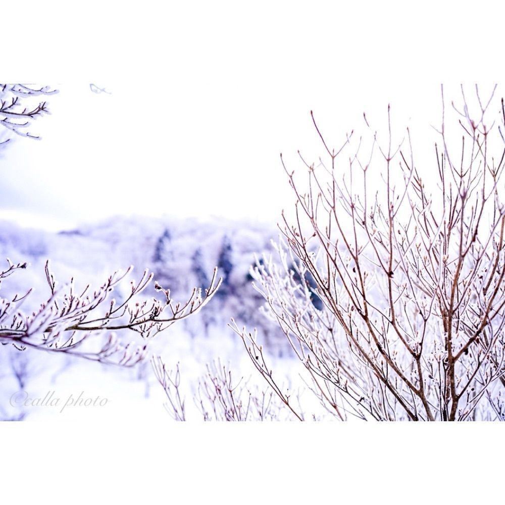 urban_garden_243aさんが投稿した三峰山に関する口コミの画像