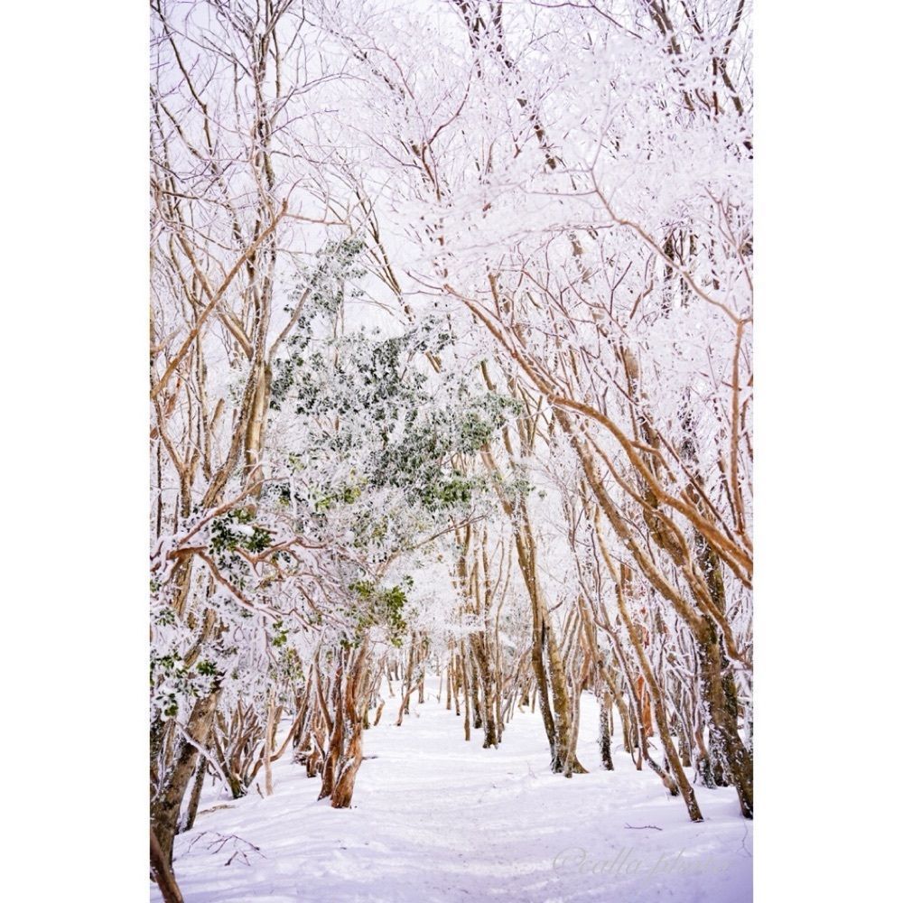 urban_garden_243aさんが投稿した三峰山に関する口コミの画像
