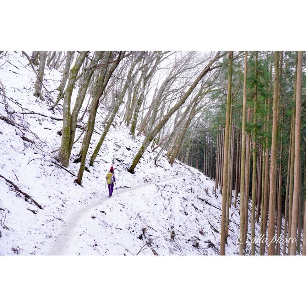urban_garden_243aさんが投稿した三峰山に関する口コミの画像