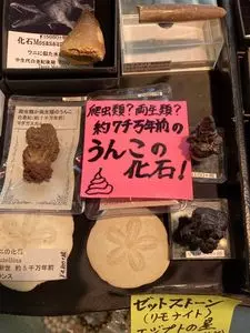 沖縄コンベンションセンター