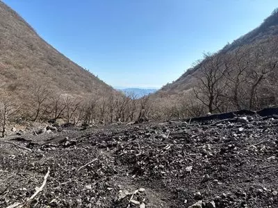 大船山のミヤマキリシマ